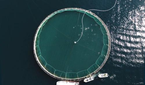 Fiskevelferdskurs - Sjøbasert